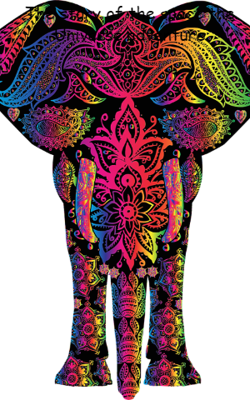 The story of the space the Universe adventure