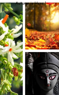 Autumn is Here!