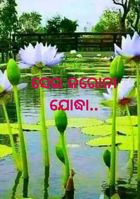 ସେଇ କରୋନା ଯୋଦ୍ଧା