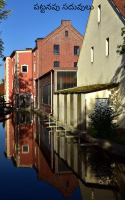 పట్టనపు సదువులు