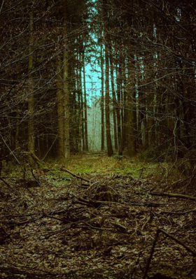 ସୁସ୍ଥ ପରିବେଶ ଦେହକୁ ହିତ