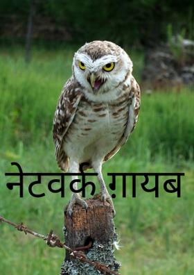 नेटवर्क ग़ायब