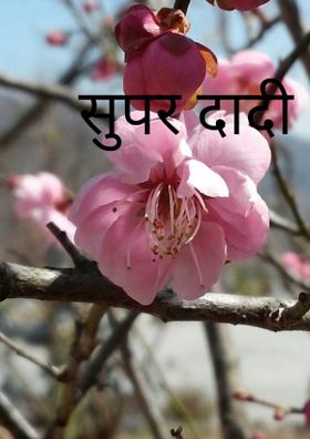सुपर दादी