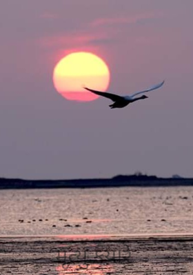 મૃત્યુ ક્યારે