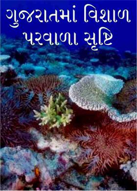 ગુજરાતમાં વિશાળ પરવાળા સૃષ્ટિ