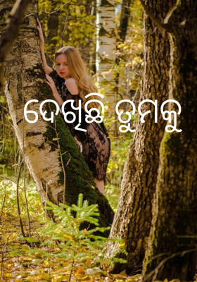 ଦେଖିଛି ତୁମକୁ