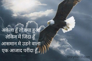 अकेला हूँ तो क्या हुआ
लेकिन में जिंदा हूँ
आसमान मे उडने वाला
एक आजाद परींदा हूँ..