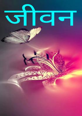 जीवन म्हणजे काय असतं