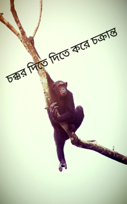 চক্কর দিতে দিতে করে চক্রান্ত