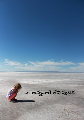 నా అన్నవారే లేని పుడక