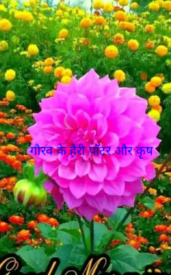 गौरव के हैरी पाॅटर और कृष