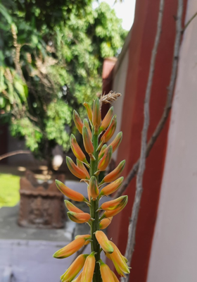 खेल खेलें हम