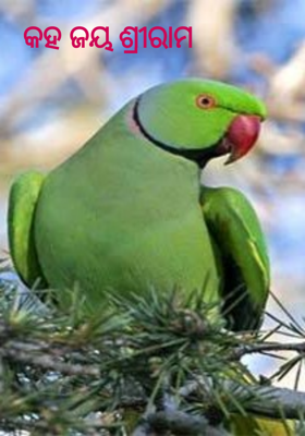 କହ ଜୟ ଶ୍ରୀରାମ