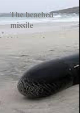 The Beached Missile