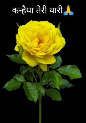 कन्हैया तेरी यारी🙏