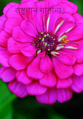 राष्ट्रगान गाताना