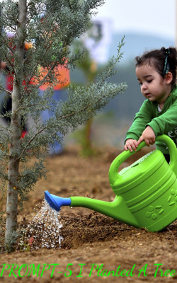 PROMPT-5 I Planted A Tree