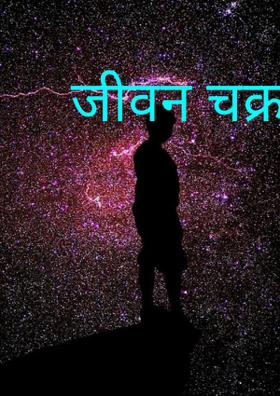 जीवन चक्र