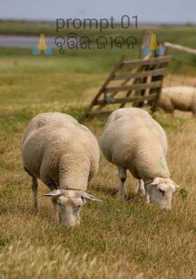 ବୃତ୍ତିର ଜୀବନ