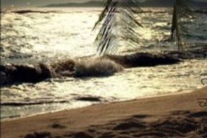 नेहमीच समज गैरसमज, तर्कवितर्क च्या लाटेवर तरंगण्यापेक्षा निर्णयाच्या किनार्‍यावर बसून समाधानाची लाट अनुभवावी...

__पुजा ⚘️