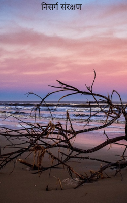 निसर्ग संरक्षण