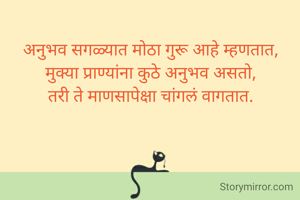अनुभव सगळ्यात मोठा गुरू आहे म्हणतात,
मुक्या प्राण्यांना कुठे अनुभव असतो,
तरी ते माणसापेक्षा चांगलं वागतात.