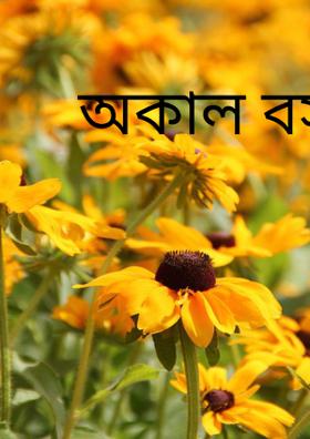 অকাল বসন্ত