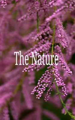 The Nature