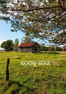 ଯେସାକୁ ତେସା