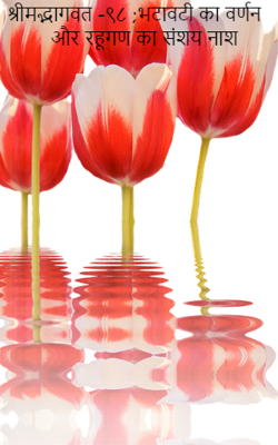 श्रीमद्भागवत -९८ ;भटावटी का वर्णन और रहूगण का संशय नाश