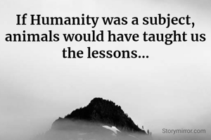 If Humanity was a subject,
animals would have taught us the lessons...