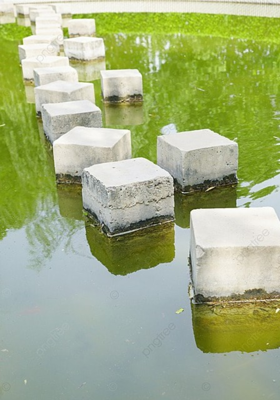 पथ का पत्थर