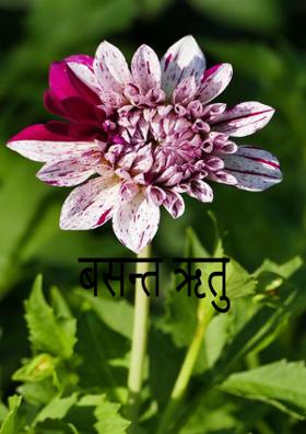 बसन्त ऋतु