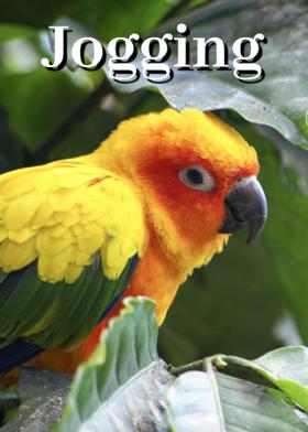 Jogging