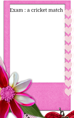 Exam : A Cricket Match