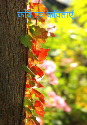 कवि एवं कविताएँ