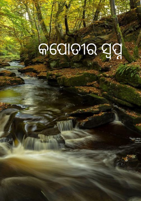 କପୋତୀର ସ୍ଵପ୍ନ