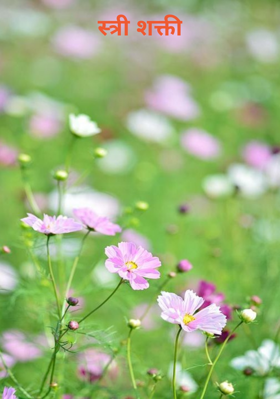 स्त्री शक्ती