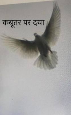 कबूतर पर दया