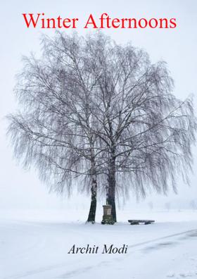 Winter Afternoons
