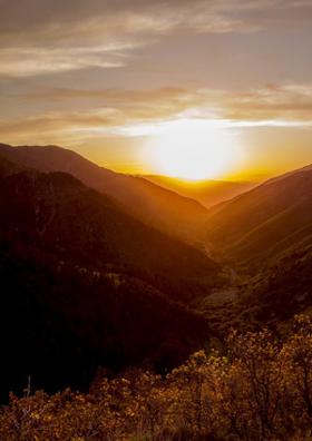 पॉलिसी बाजार डॉट कॉम