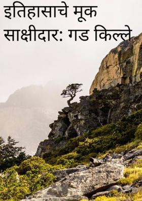 इतिहासाचे मूक साक्षीदार गडकिल्