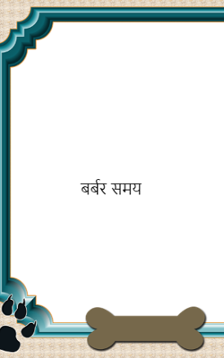 बर्बर समय