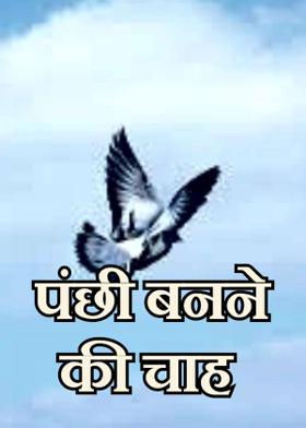 पंछी बनने की चाह