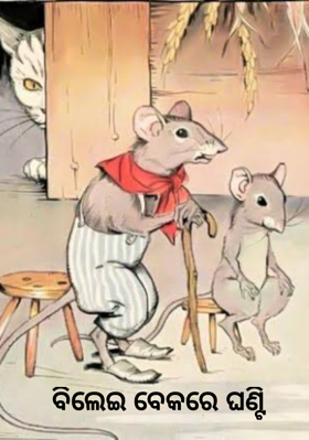 ବିଲେଇ ବେକରେ ଘଣ୍ଟି