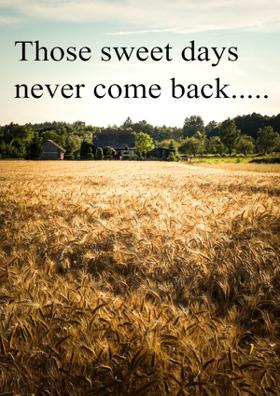 Those Sweet Days Never Come Back