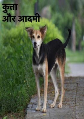 कुत्ता और आदमी
