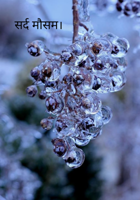 सर्द मौसम