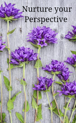 Nurture your Perspective