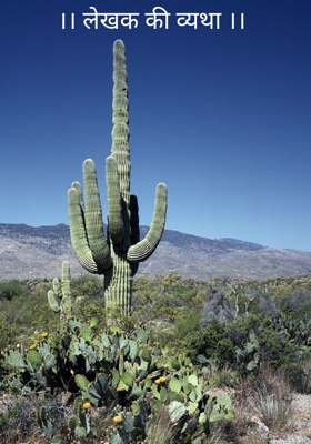 ।। लेखक की व्यथा ।।